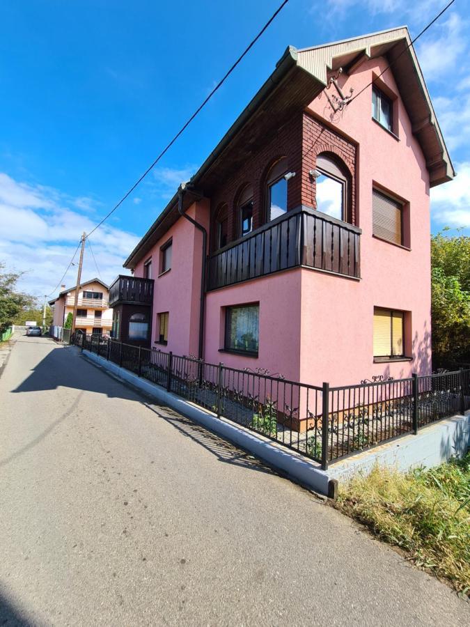 Апартаменты In Pavlovic Баня-Ковиляча Экстерьер фото